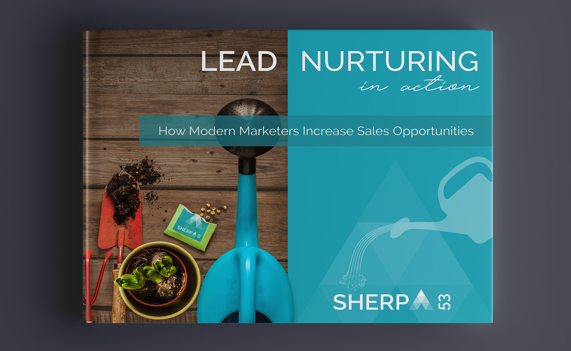 Lead-Nurturing-front-cover2